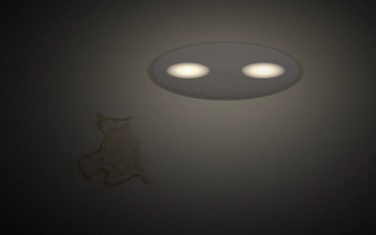 Forro do teto com luz de cortesia acesa e mancha sendo removida
